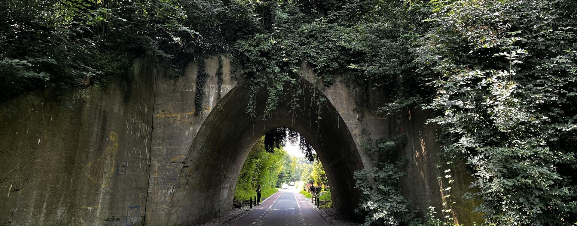 Burn-out & depressieve klachten